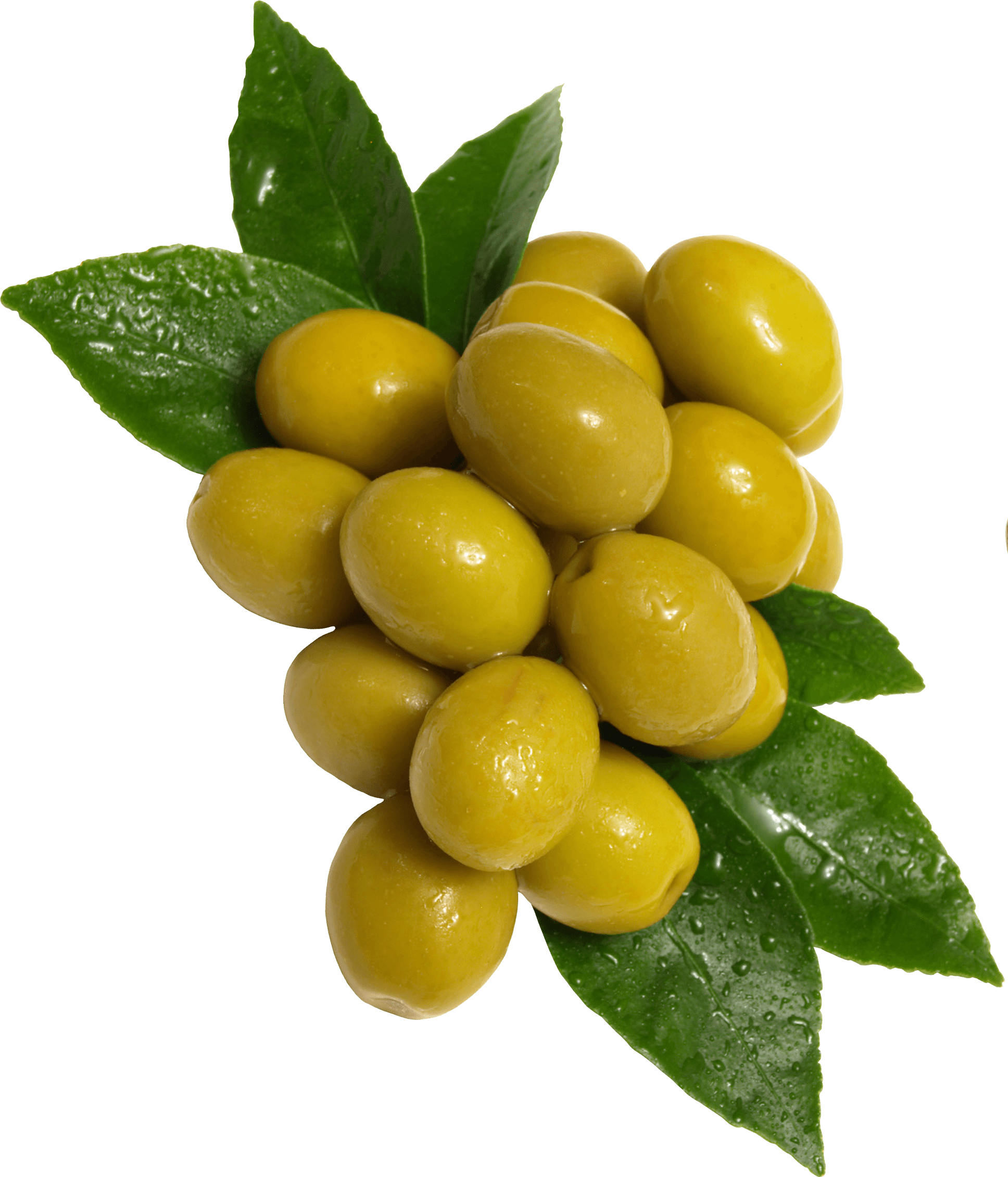 Olive Clipart Olive Fruit Olive Olive Fruit Transparent FREE For