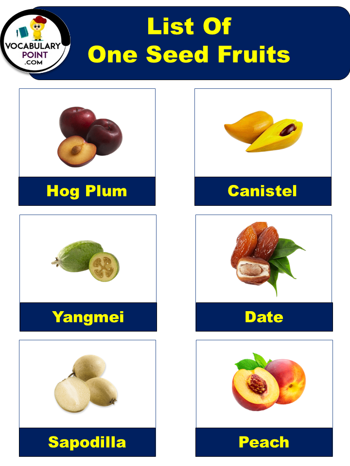 One Seed Fruits A Fascinating Exploration
