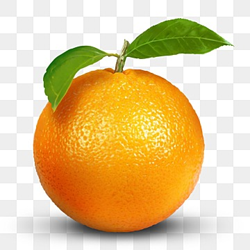 orange fruit pictures
