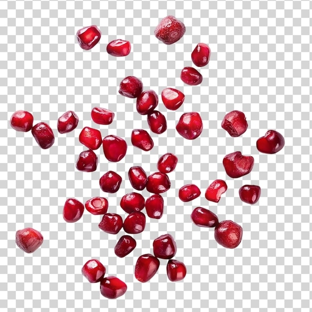 berberine fruit picture