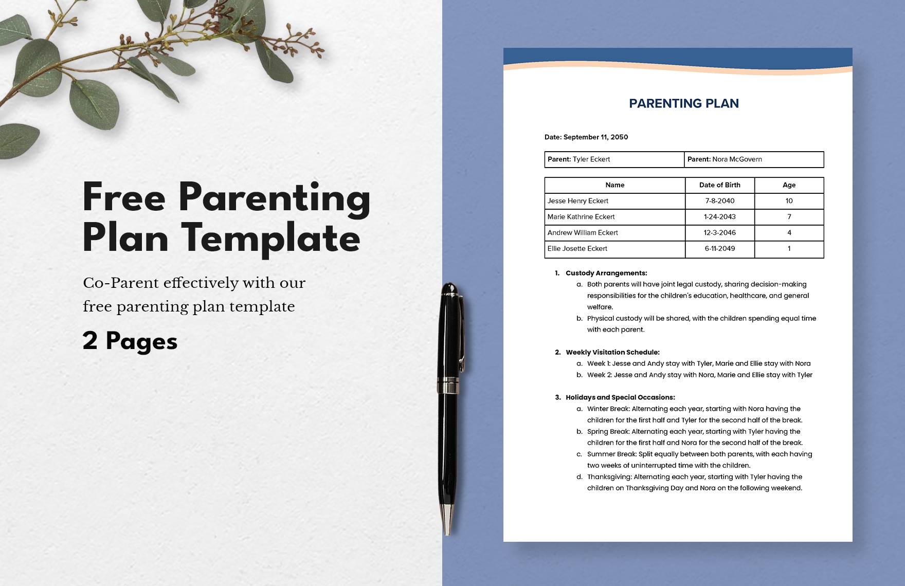 Parenting Plan Template In MS Word Portable Documents GDocsLink