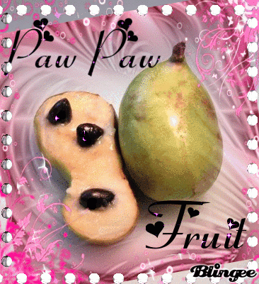 Paw Paw Fruit Picture 100363436 Blingee
