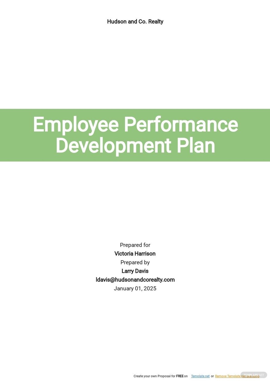 Performance Development Plan Template Google Docs Word Apple Pages