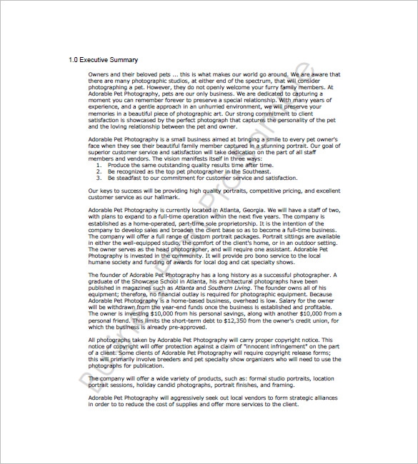 Photography Business Plan Template 12 Free Word Excel PDF Format