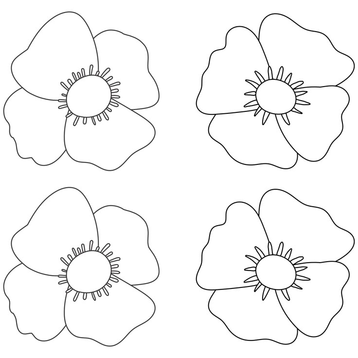 Poppy Printable Template For Crafting