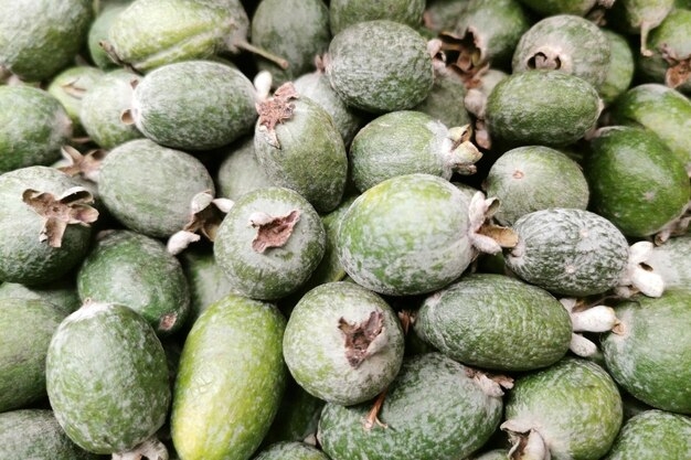 Premium Photo Feijoa Fruit Acca Sellowiana Green Exotic Fruit Background