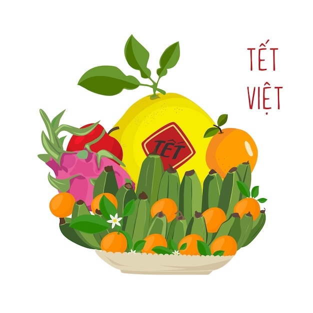 Premium Vector Five Fruit Tray Vector Fruit Tray In Vietnamese