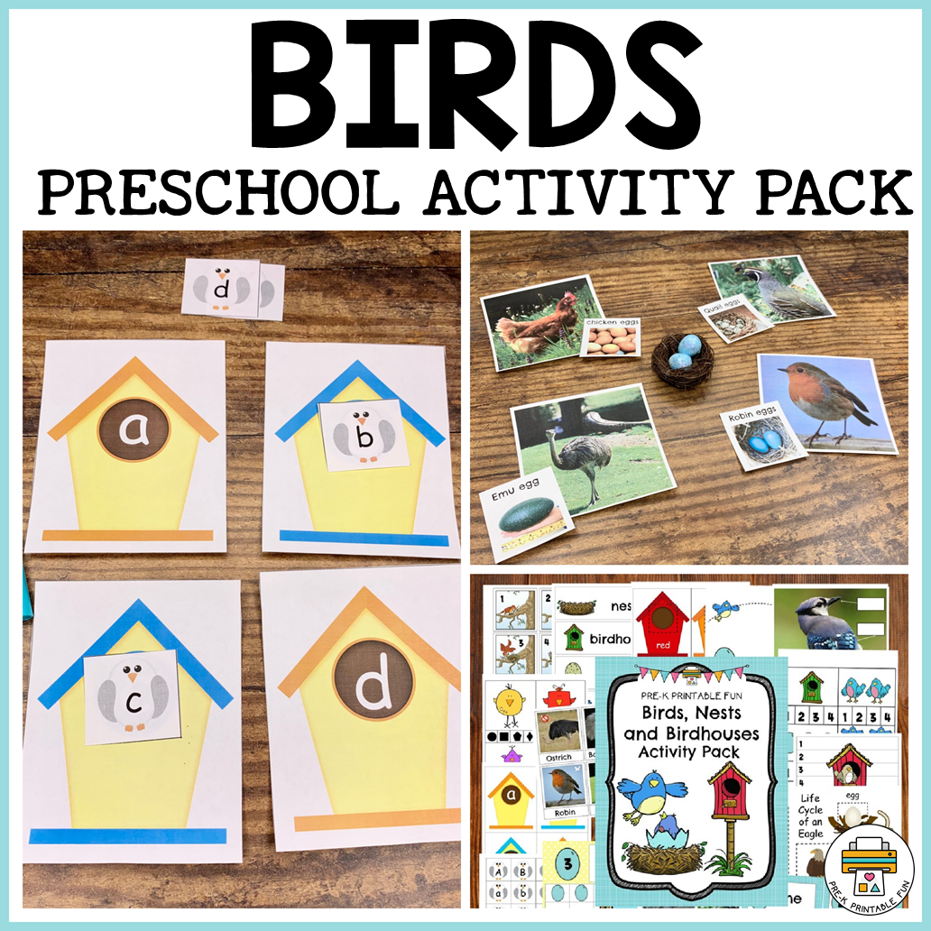 Preschool Bird Activities And Printables