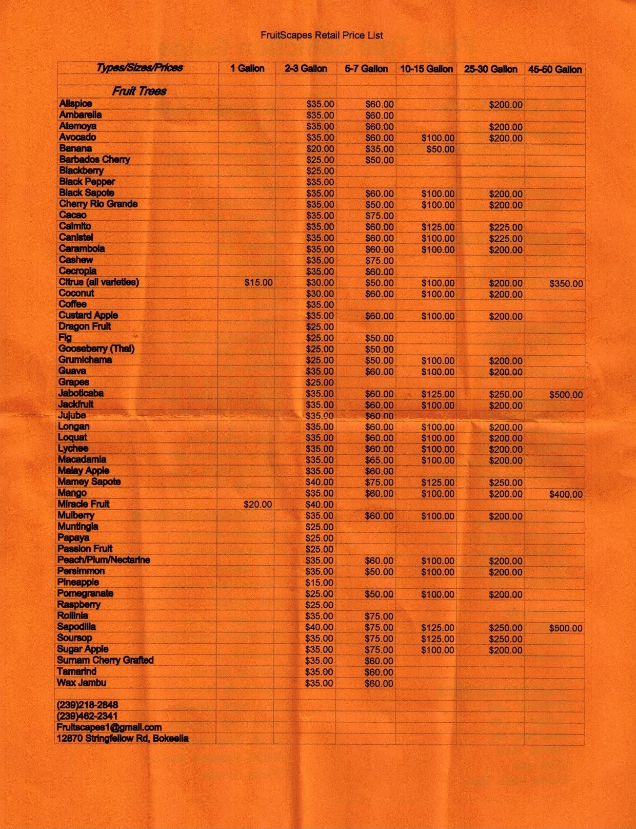 Price List For Fruit Trees At Pine Island Fruit Market Groves Sapote 