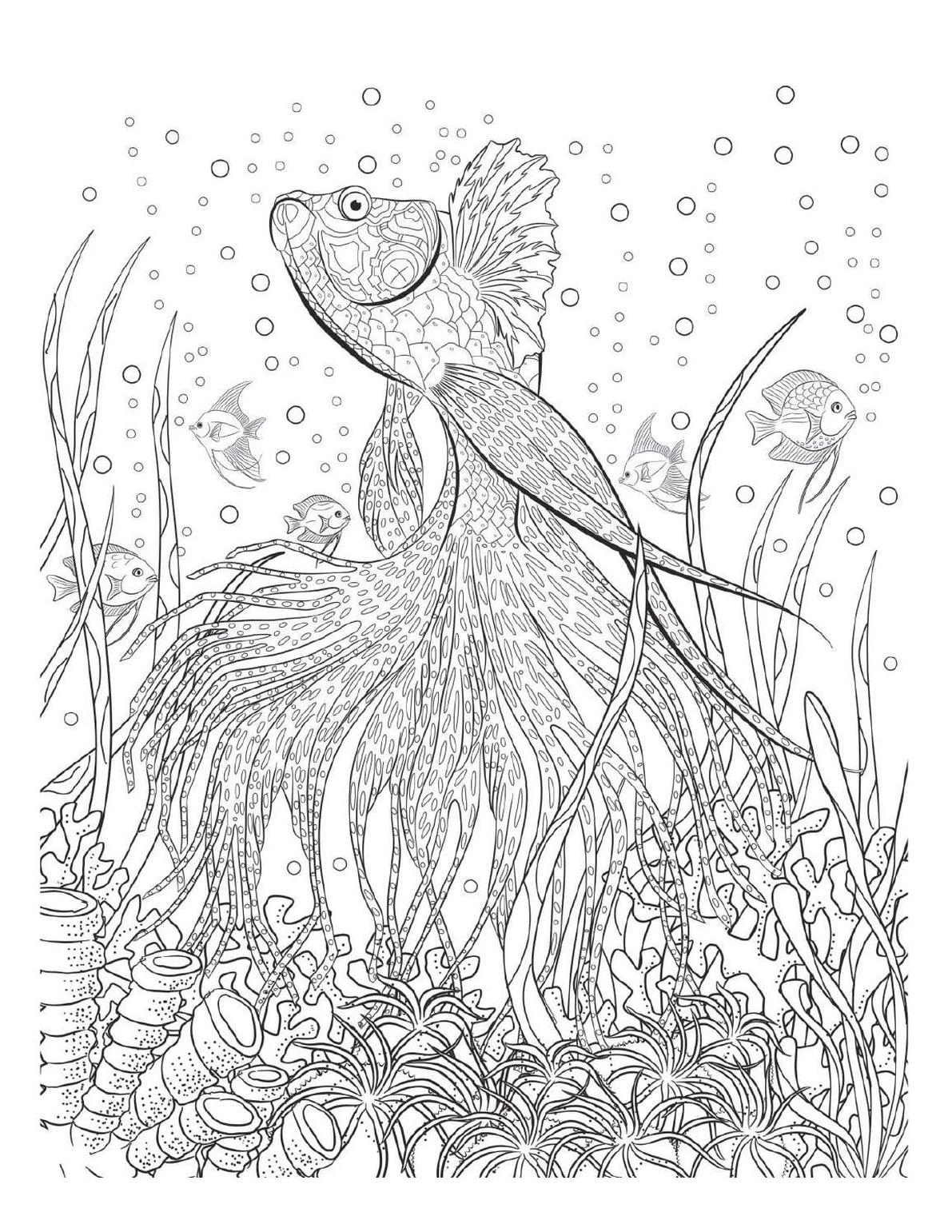 coloring pictures for adults printable