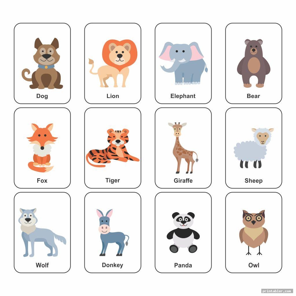 flash printable pictures