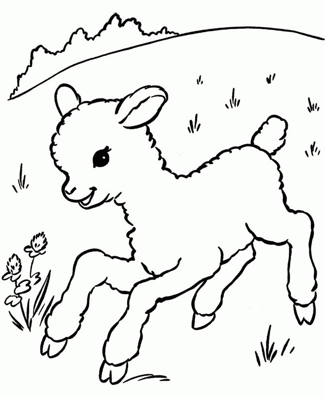 Printable Animal Pictures Coloring Home