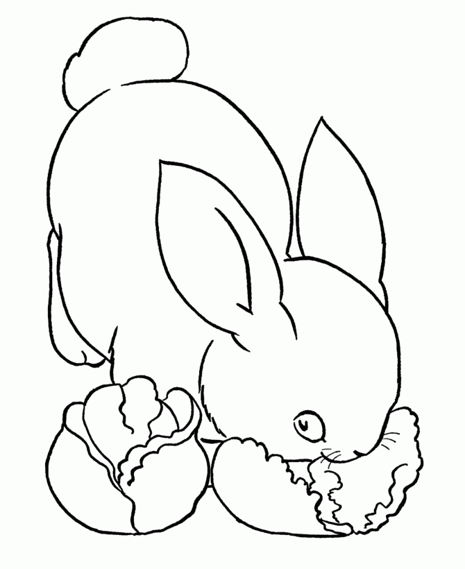 Printable Animal Pictures Coloring Home