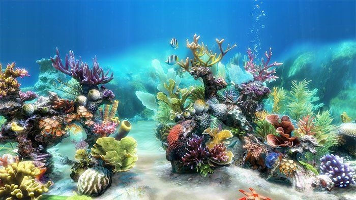 Printable Aquarium Background Prntbl concejomunicipaldechinu gov co
