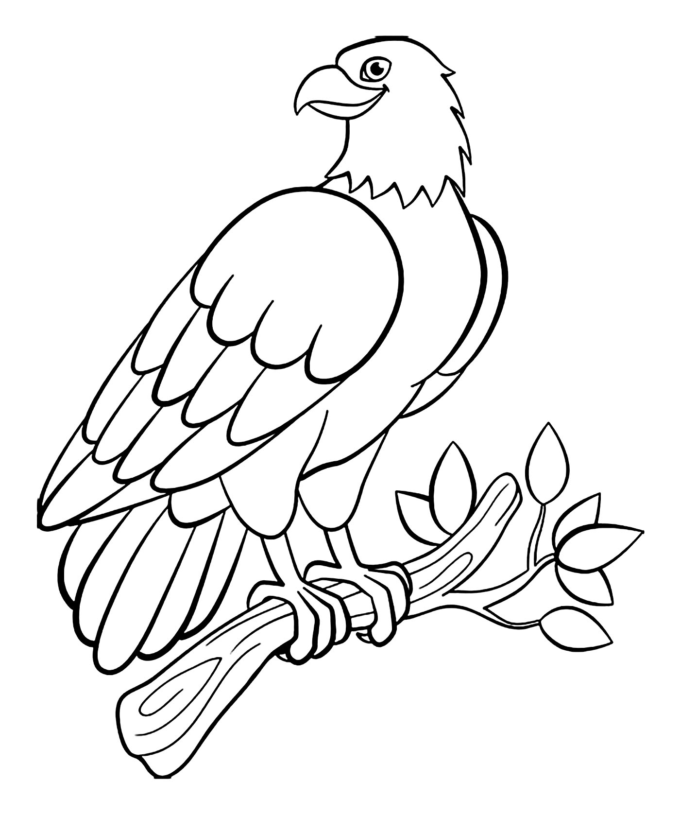 free printable bird pictures to color