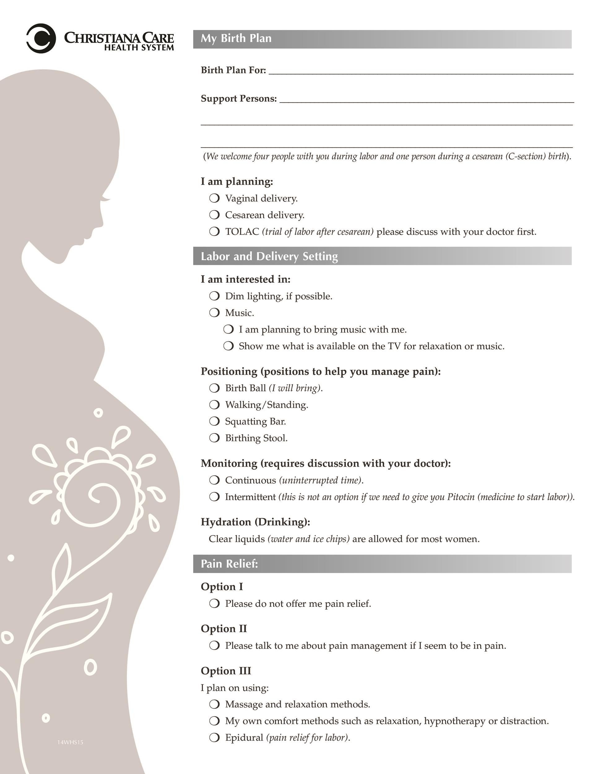 birth plan template free printable