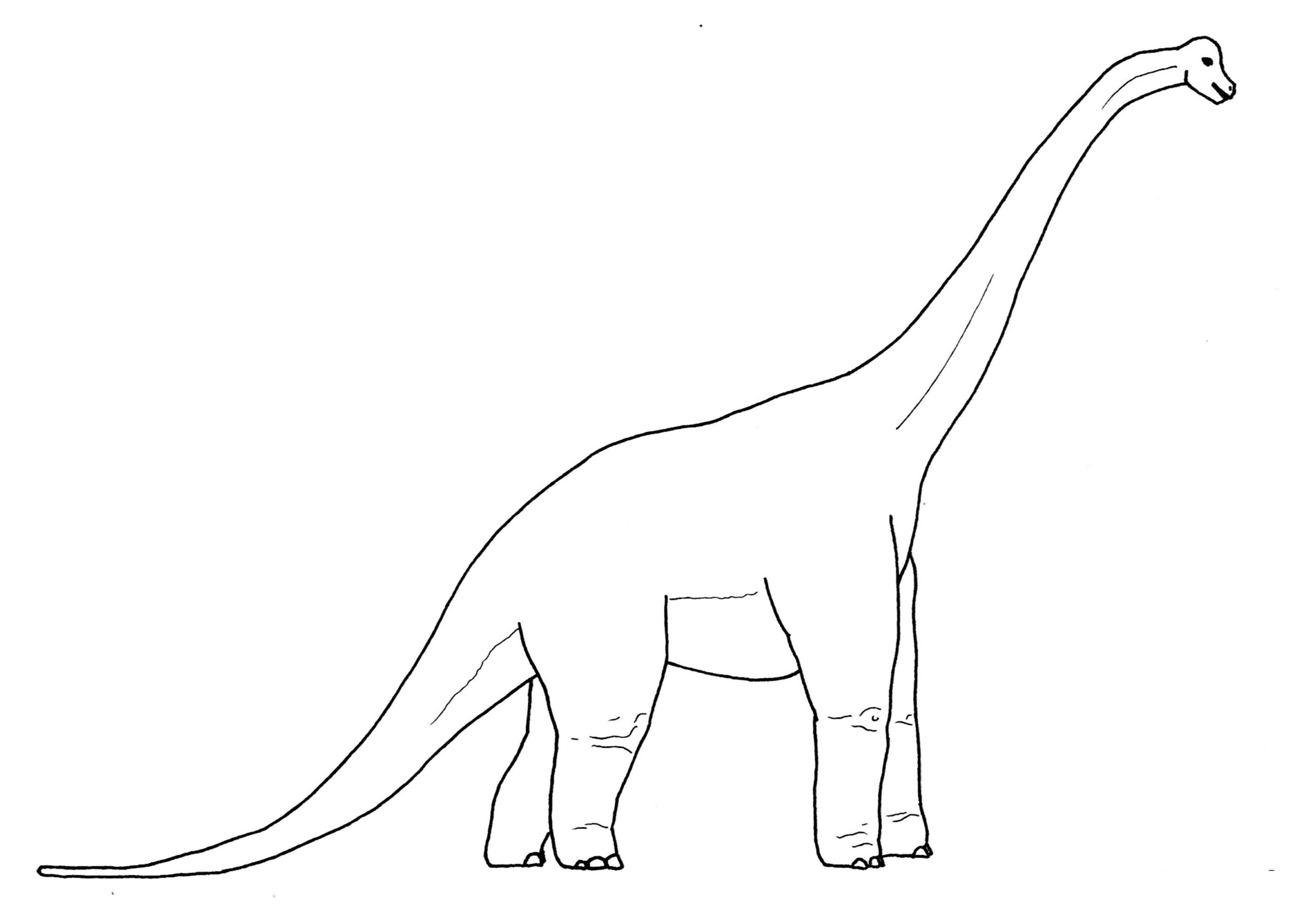 brachiosaurus printable pictures