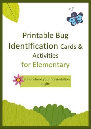 Printable Bug Identification Cards Activities For Elementary 