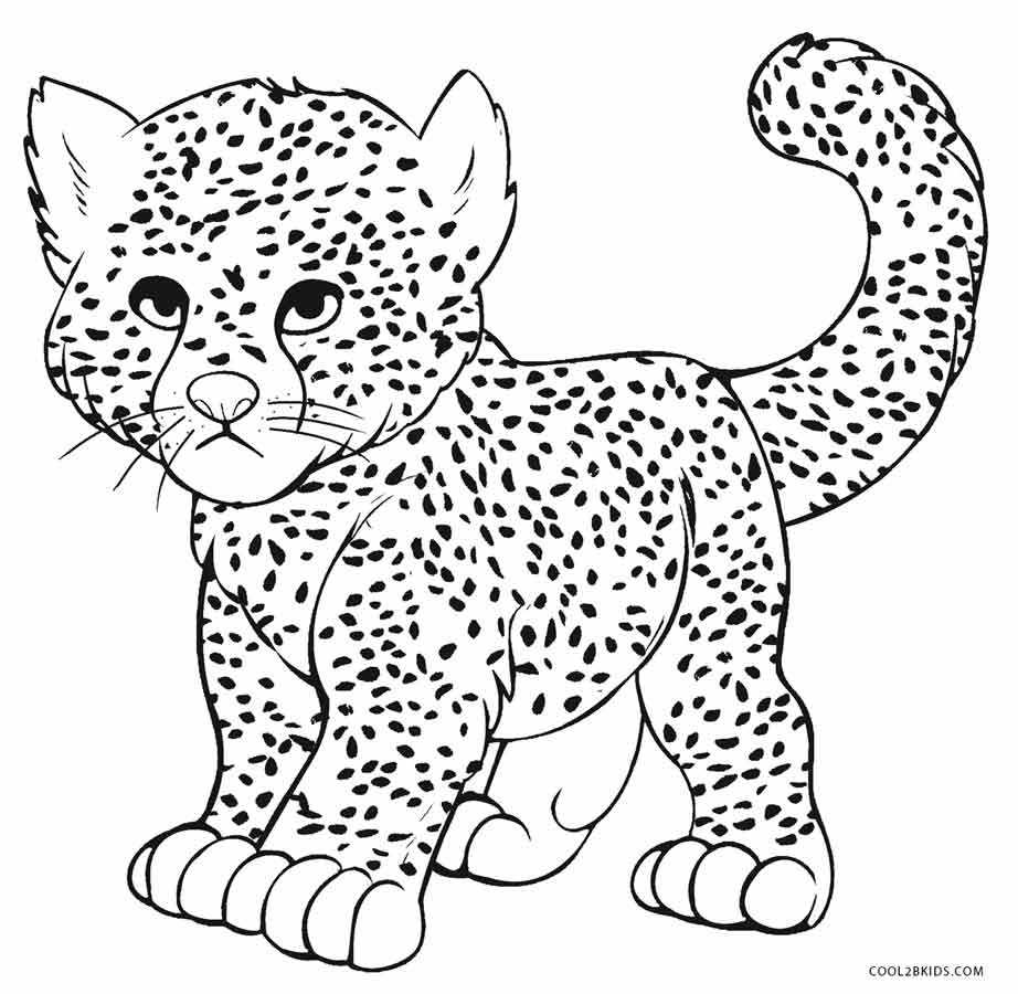 Printable Cheetah Coloring Pages For Kids Cool2Bkids Free Printable 