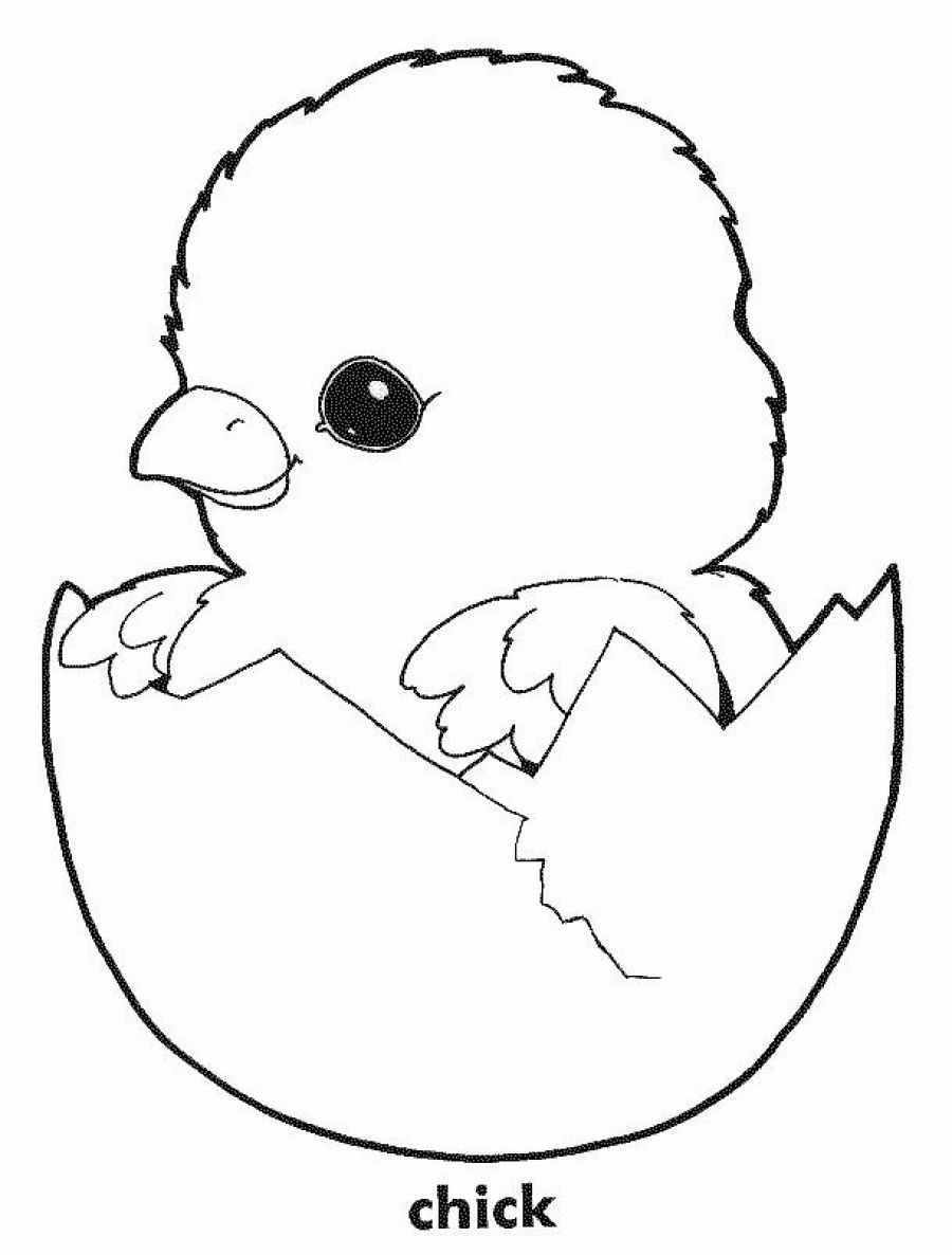 Printable Chicken Coloring Pages Coloring Home