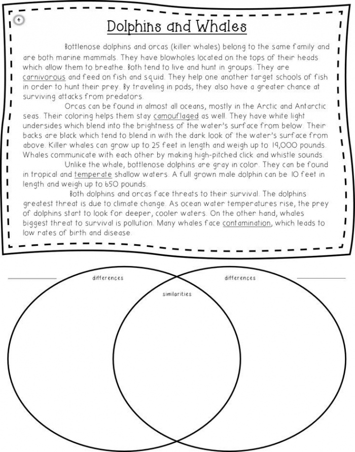 Printable Compare And Contrast Worksheets Peggy Worksheets