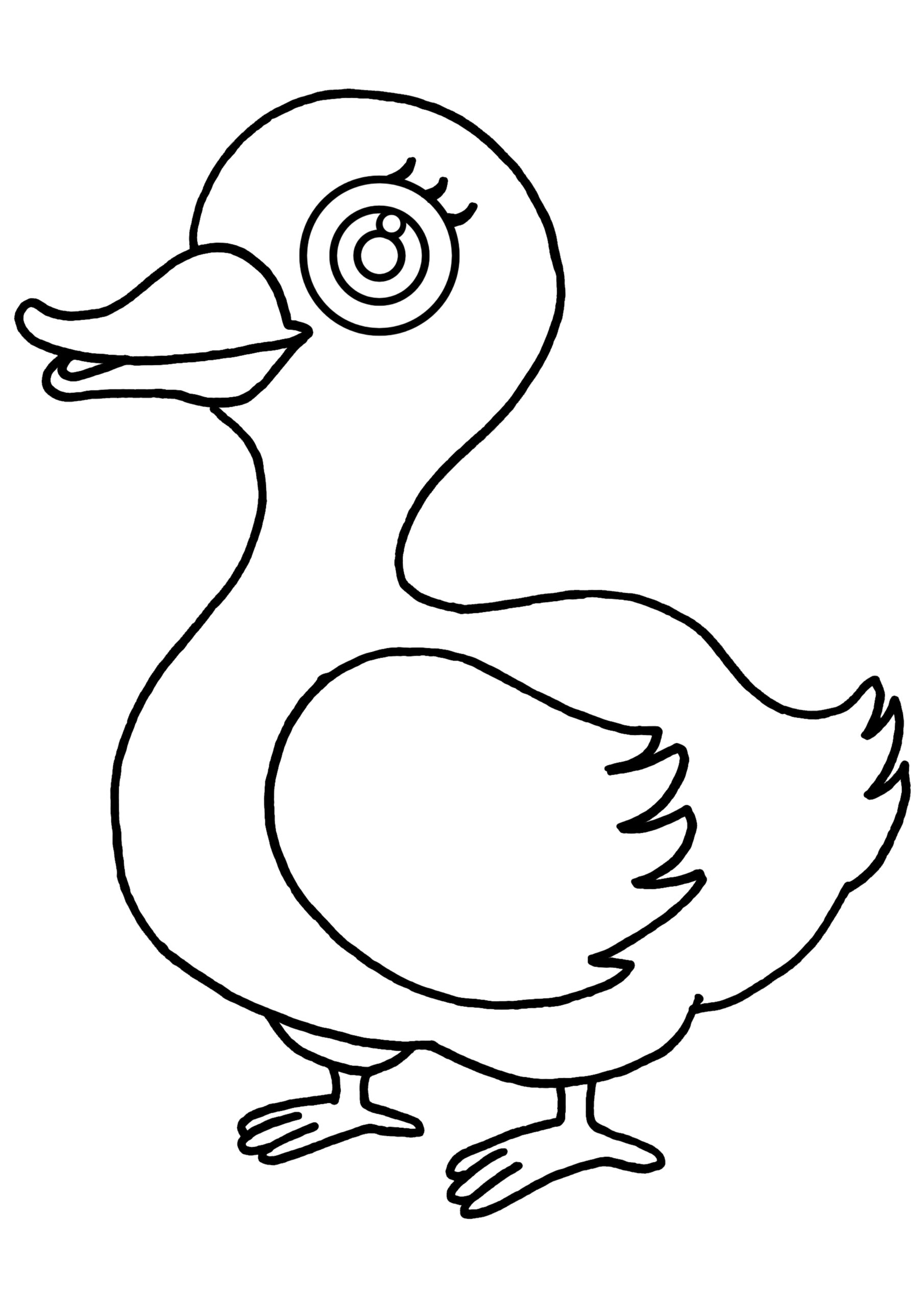 Printable Ducks Printable Word Searches
