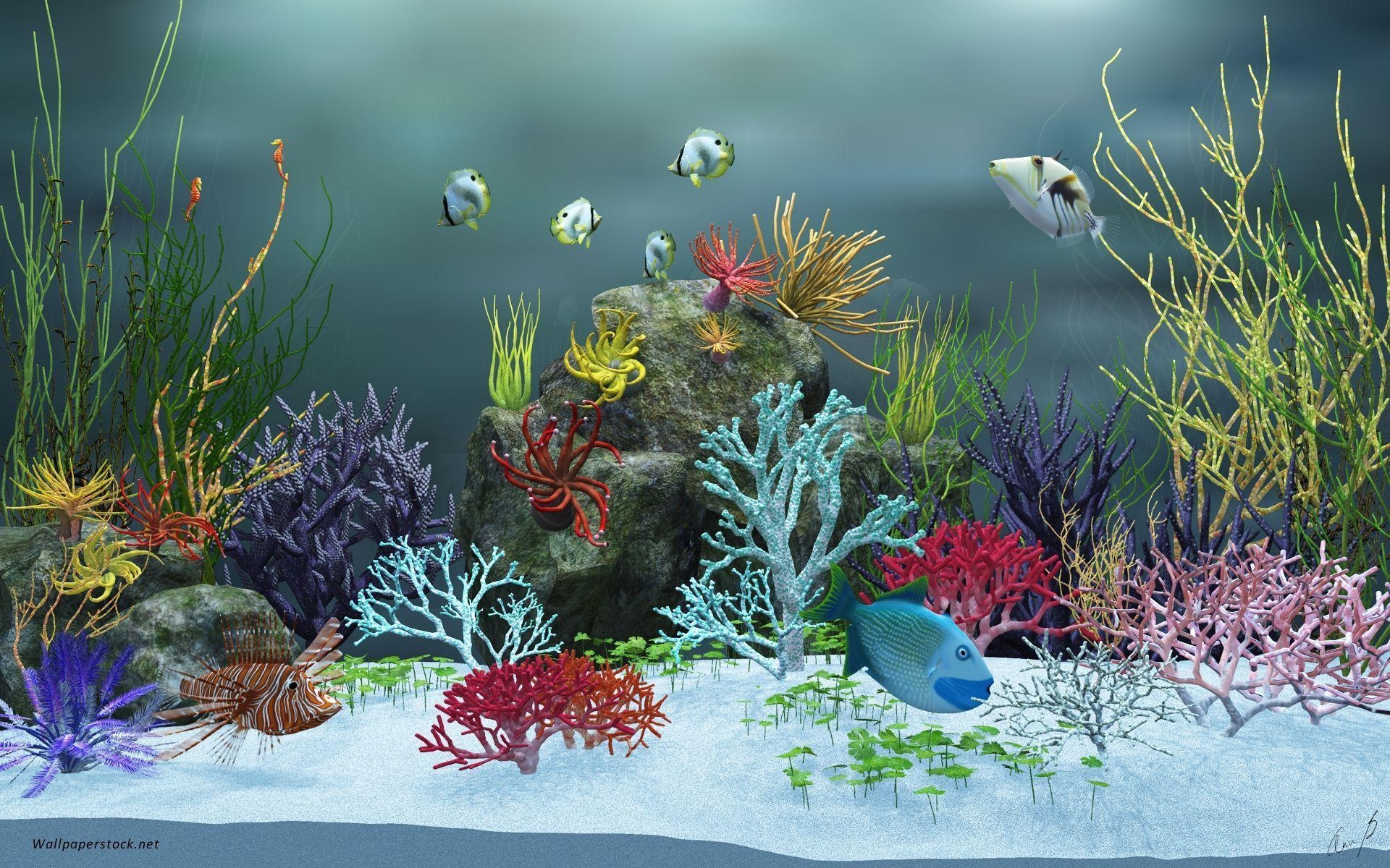 Printable Fish Tank Background