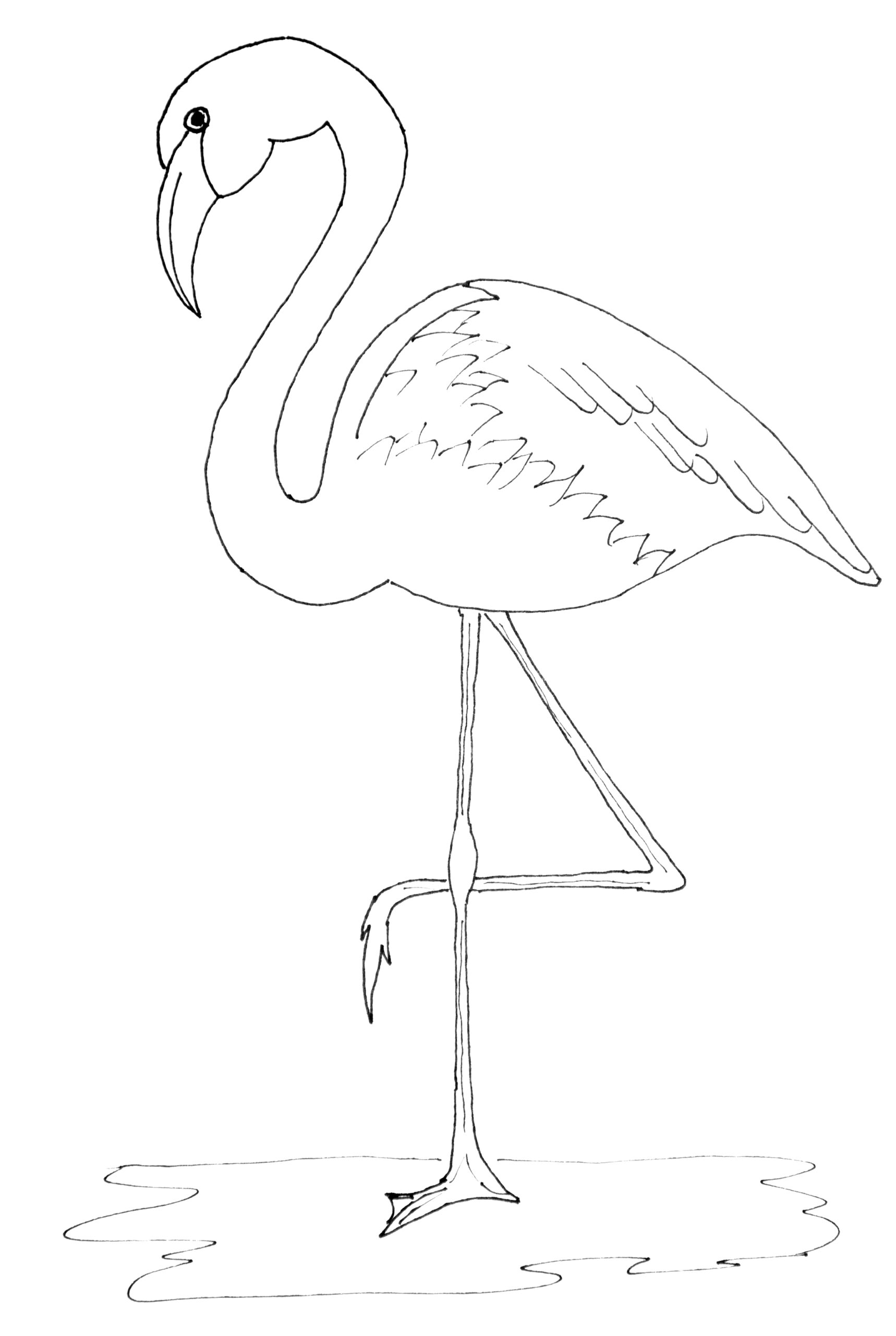 flamingo printable pictures