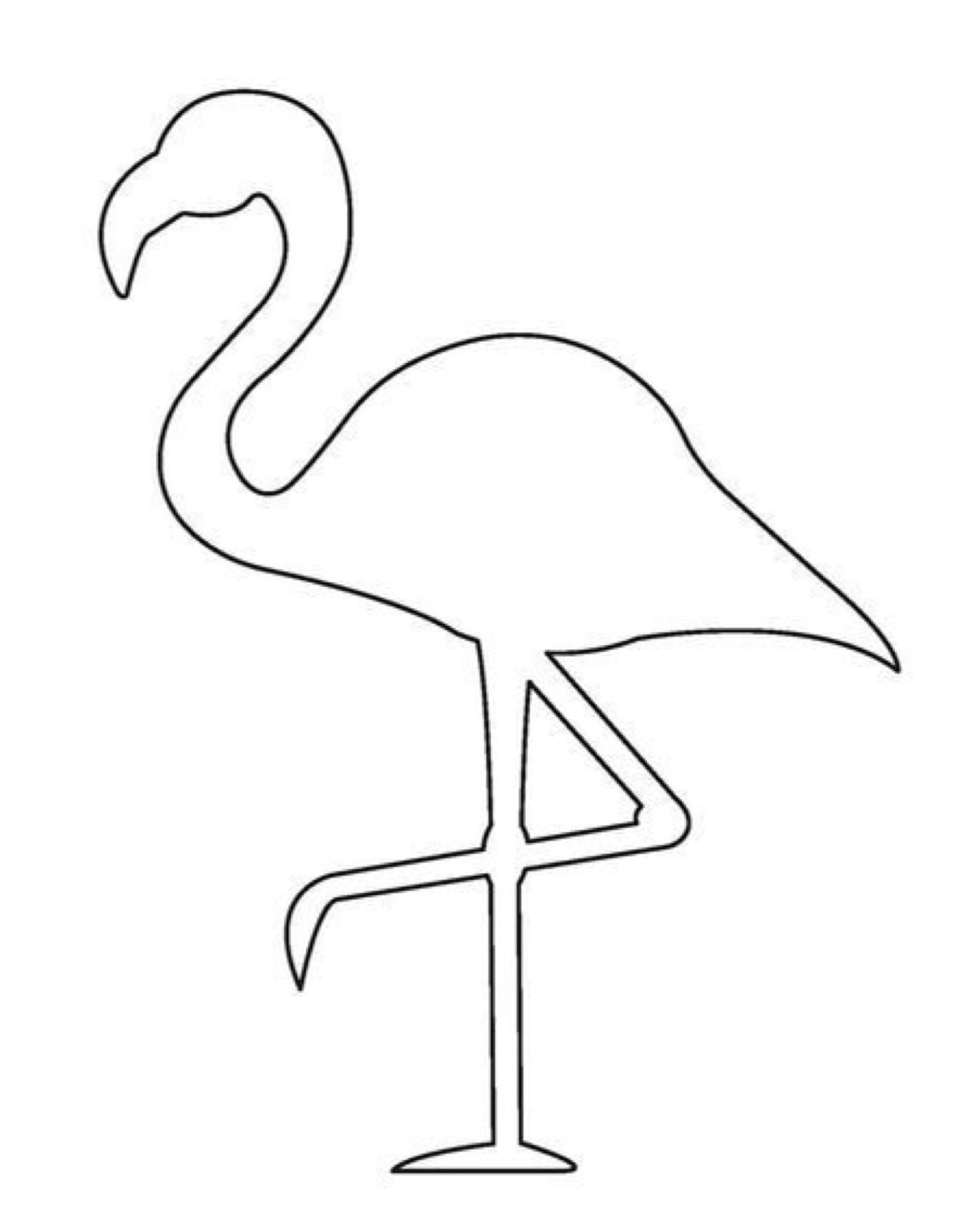 Printable Flamingo Printable Word Searches