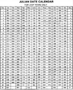 leap year printable activities