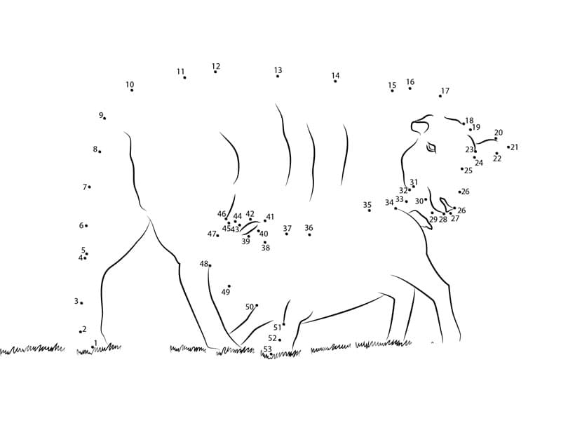 Printable Lamb Dot To Dot For Free Free Download And Print For You 
