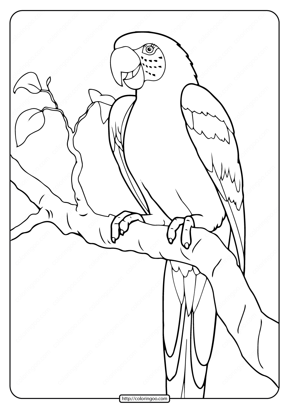 Printable Parrot Coloring Pages printables free pdf parrot 