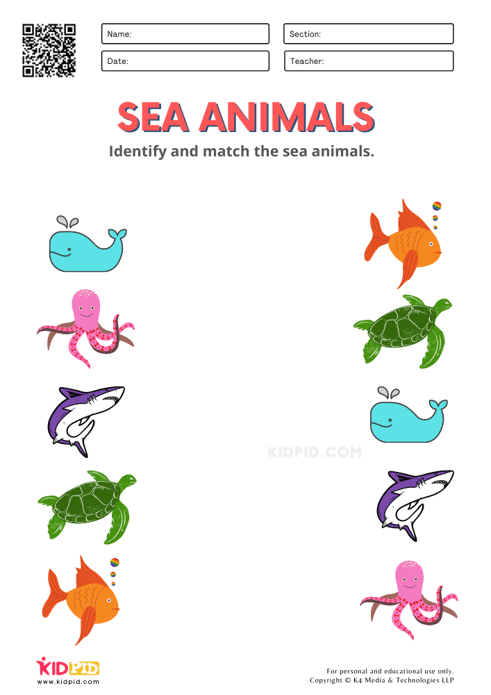 Printable Sea Animals Worksheets For Preschoolers The Vrogue co