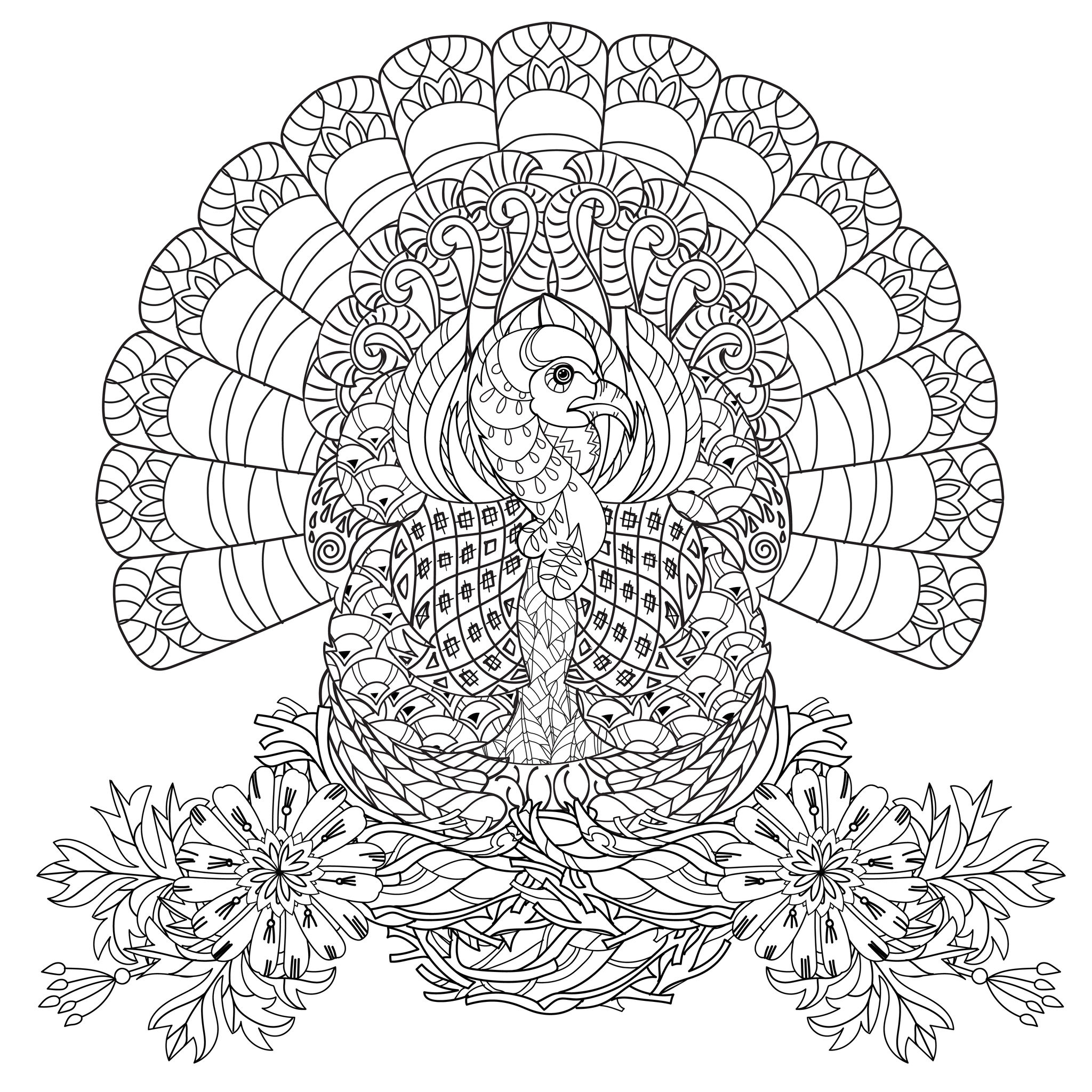 color picture of a turkey printable