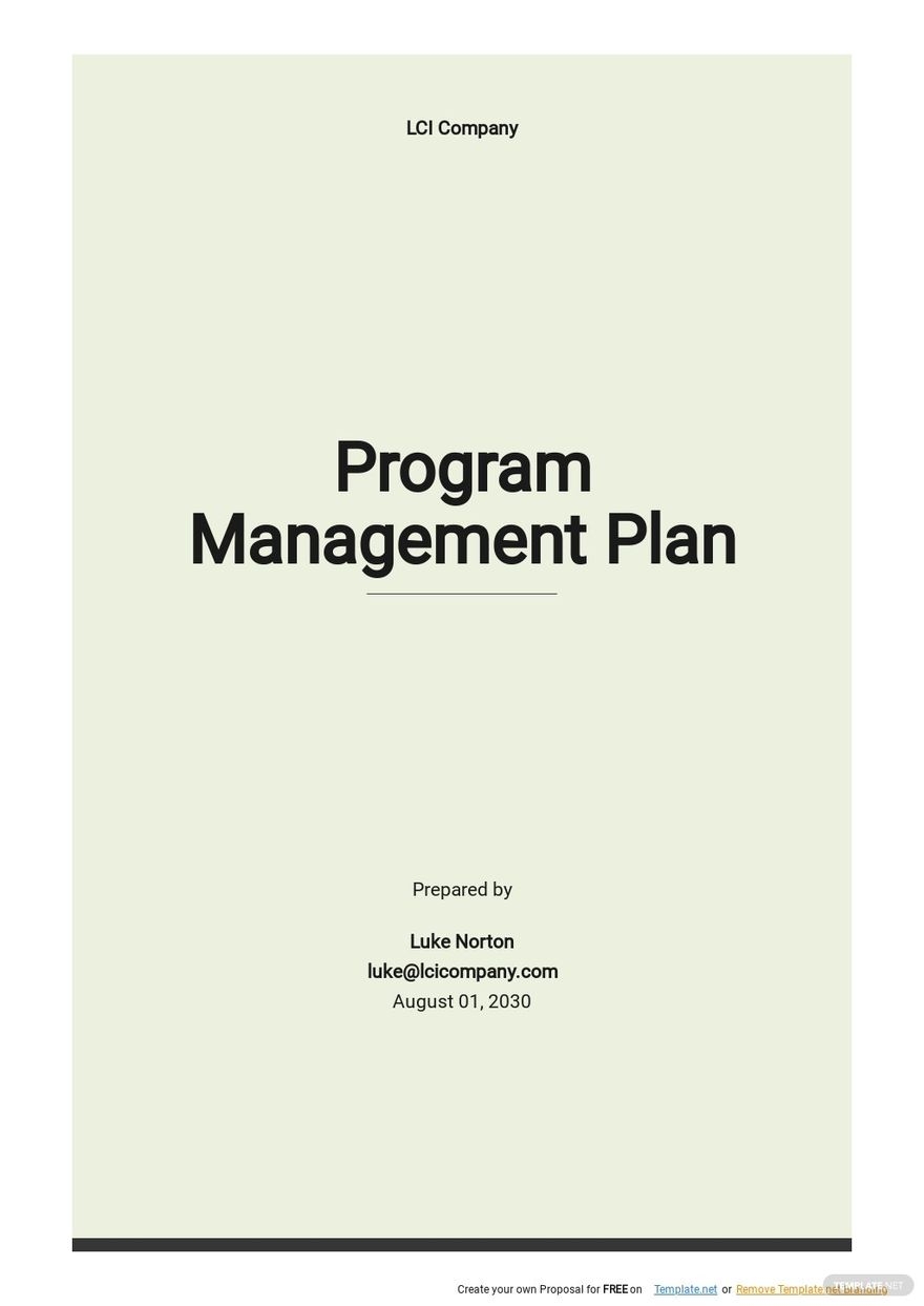 Program Management Plans Templates Word Format Free Download