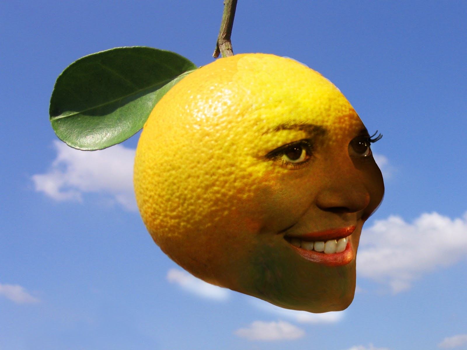 Projects Blog Fruit Face Project finished 