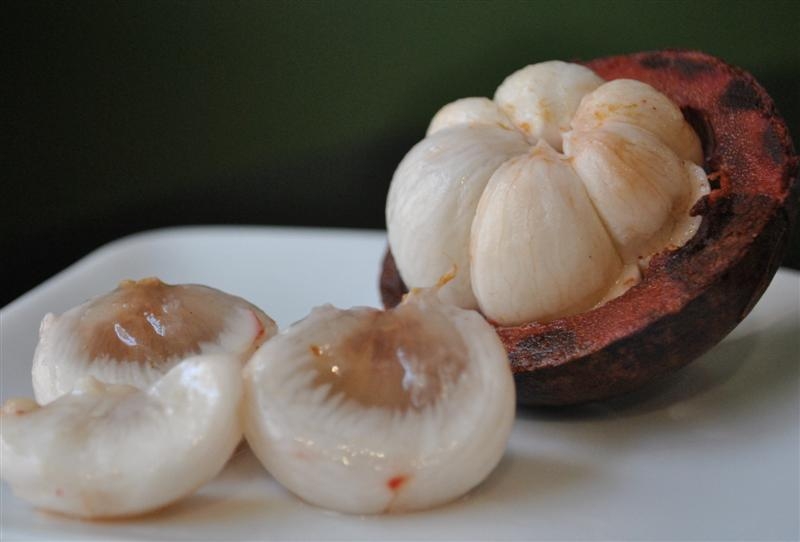 Purple Mangosteen Fruit Maven