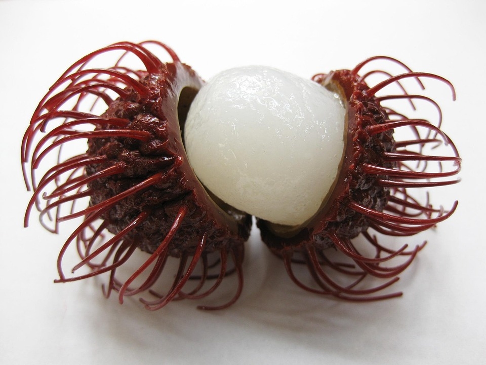 Rambutan Fruit Free Photo On Pixabay