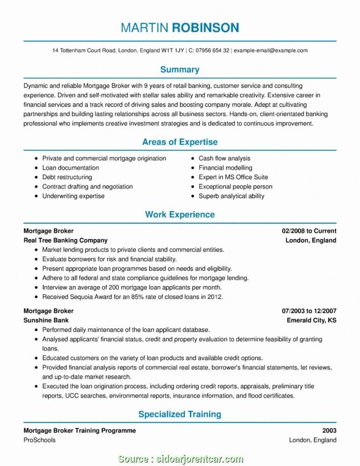 Real Estate Agency Business Plan Pdf House Flipping Millionaire