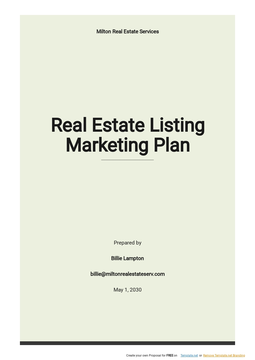 Real Estate Marketing Plan Template Google Docs Word Apple Pages 