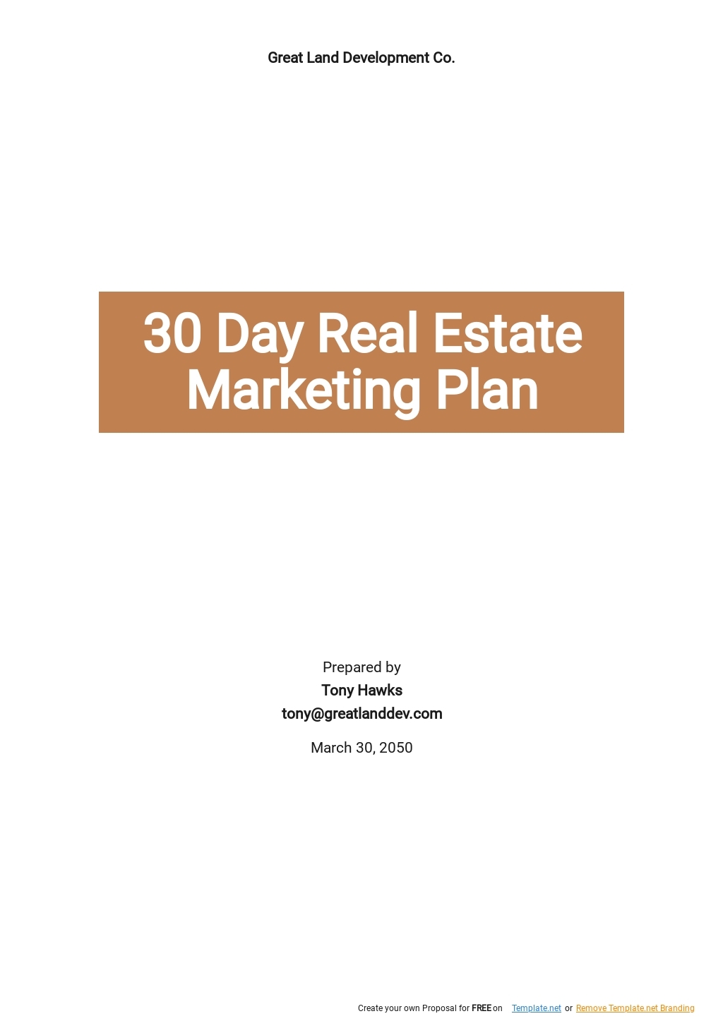 Real Estate Marketing Plan Template Google Docs Word Apple Pages
