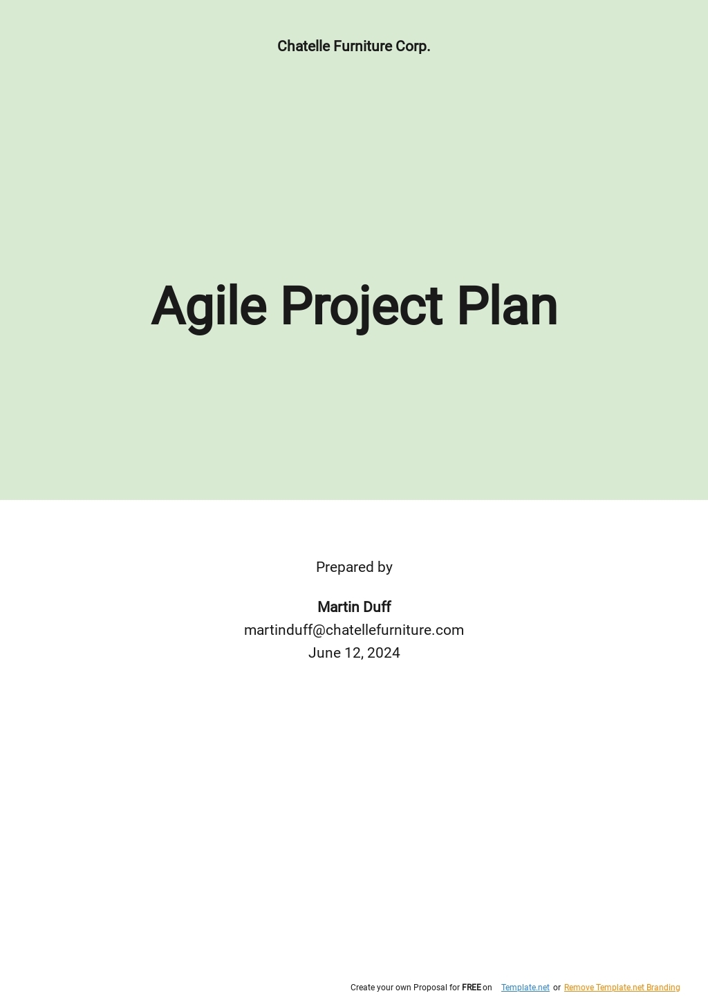 agile methodology project plan template