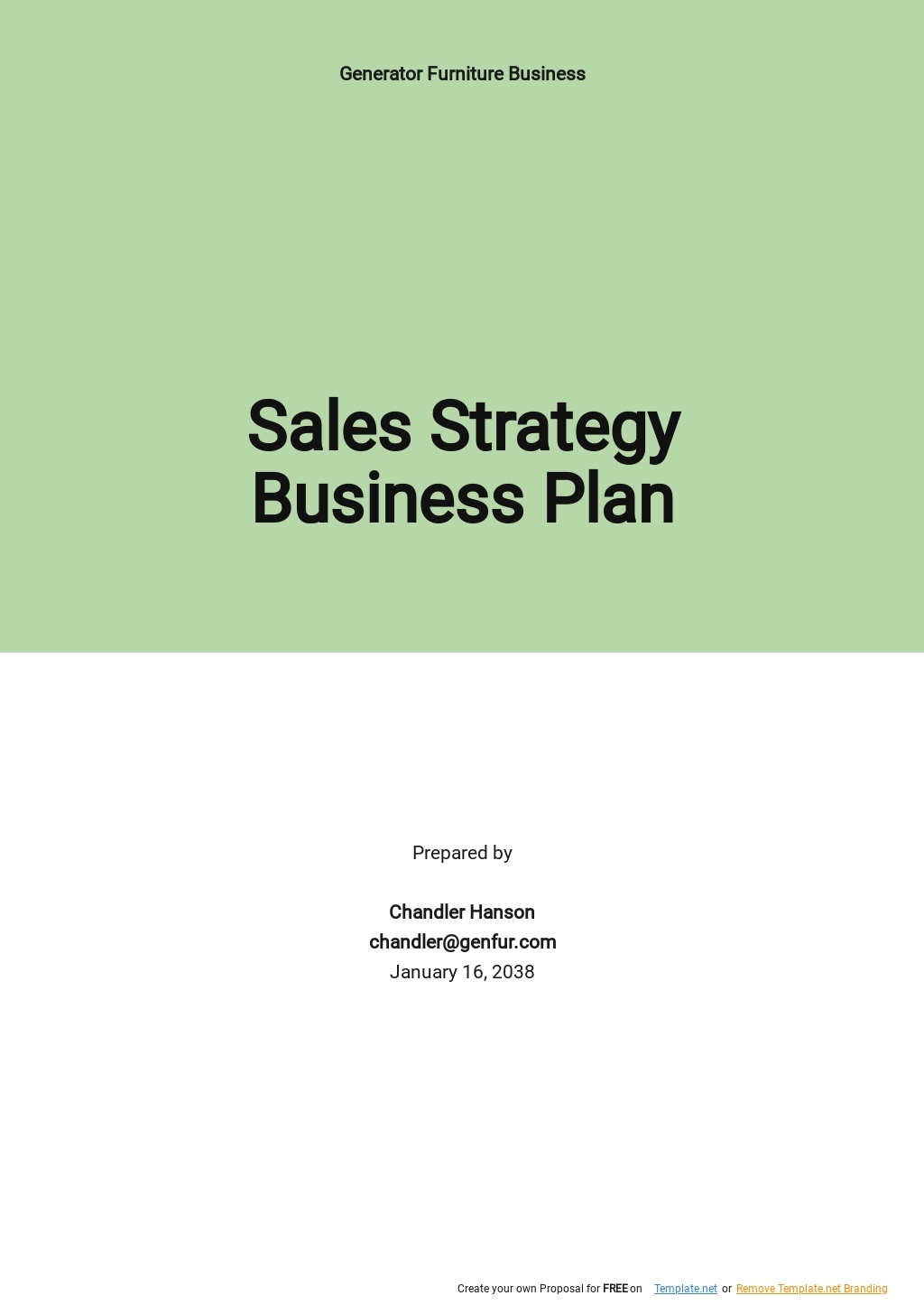 Sales Strategy Action Plan Template Google Docs Word Apple Pages 