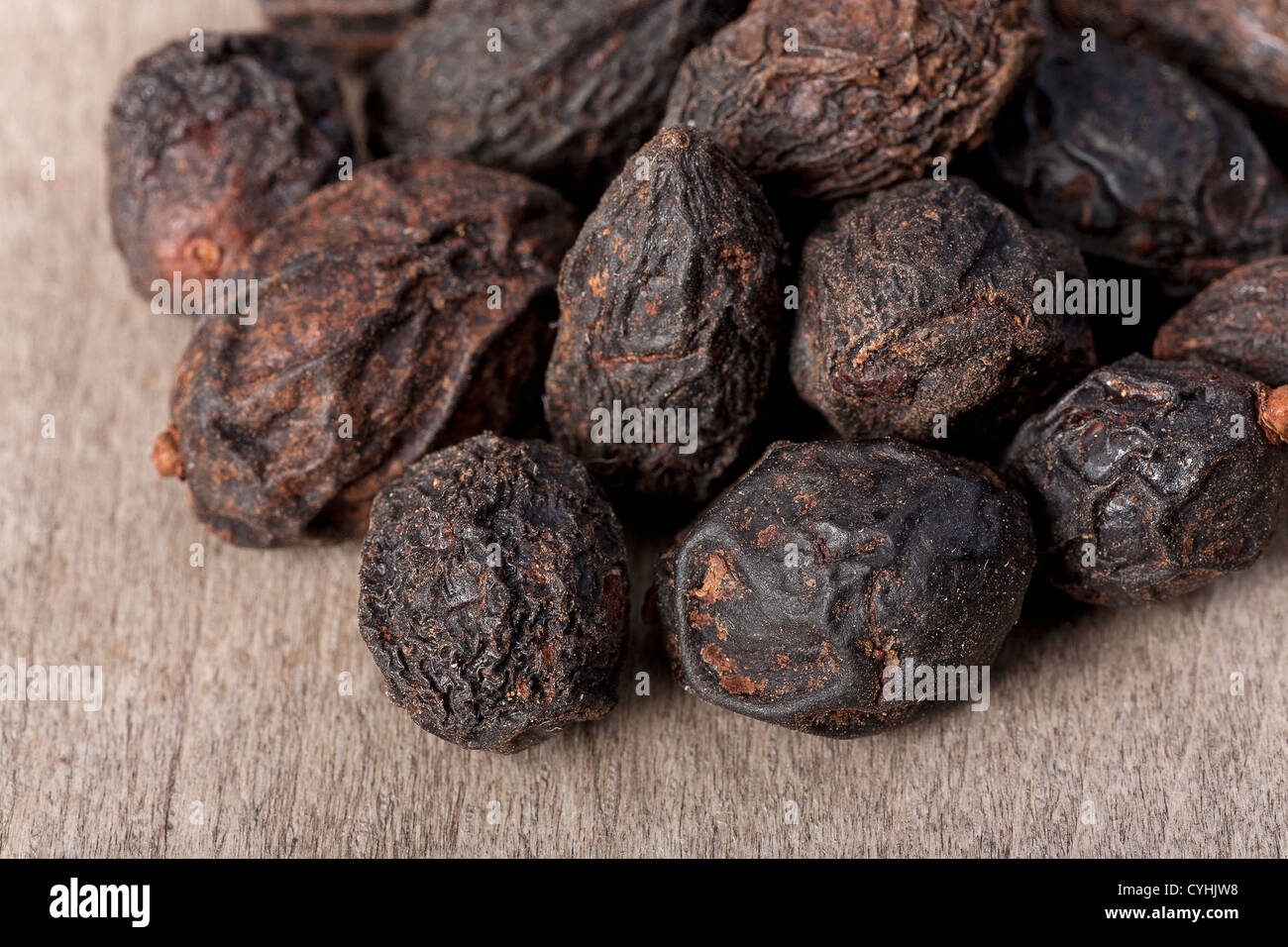 Saw Palmetto Fruit Hi res Stock Photography And Images Alamy