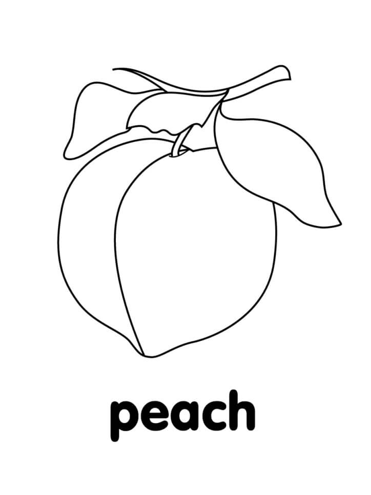Simple Peach Fruit Coloring Page Free Printable Coloring Pages For Kids