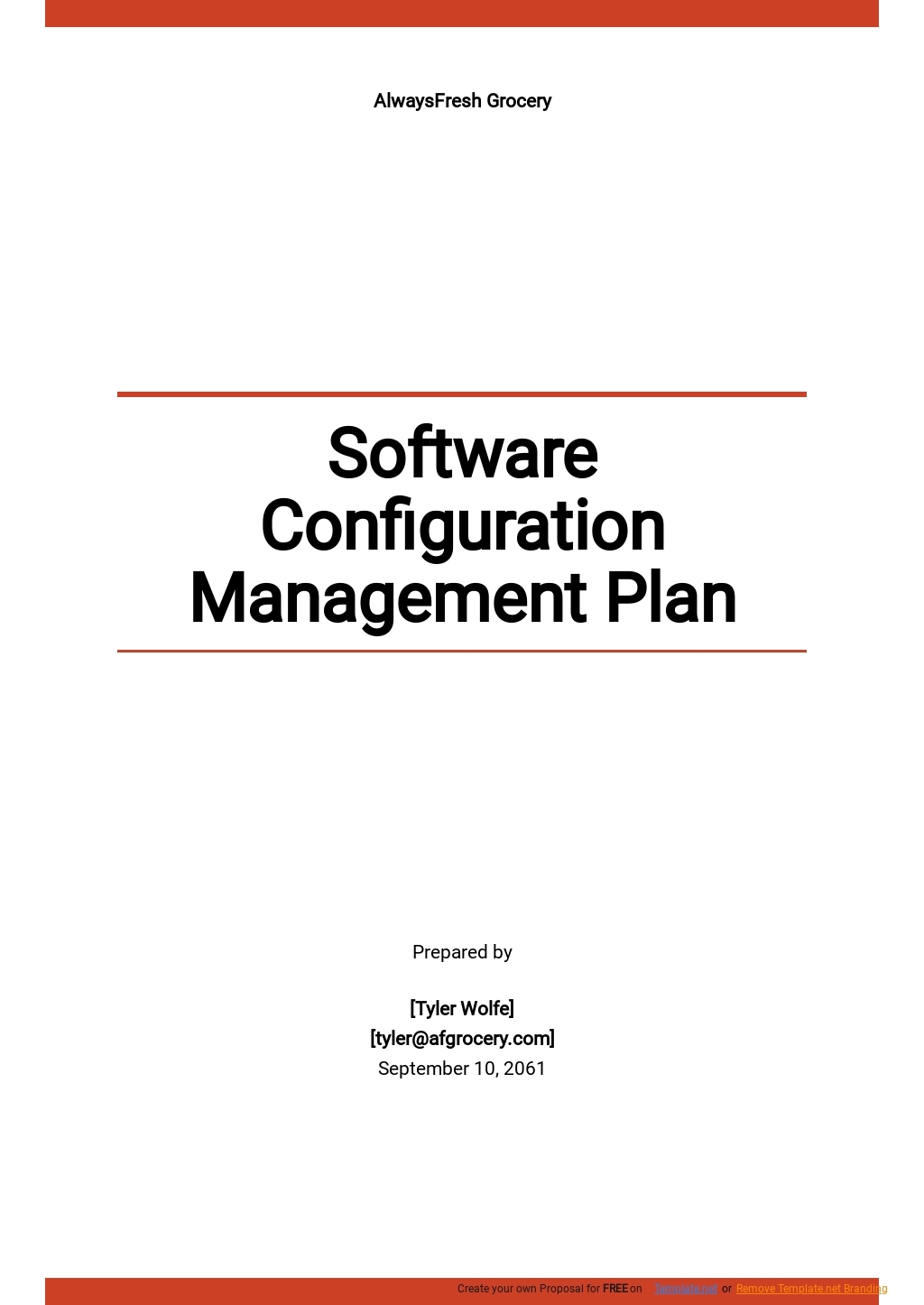 management plan template