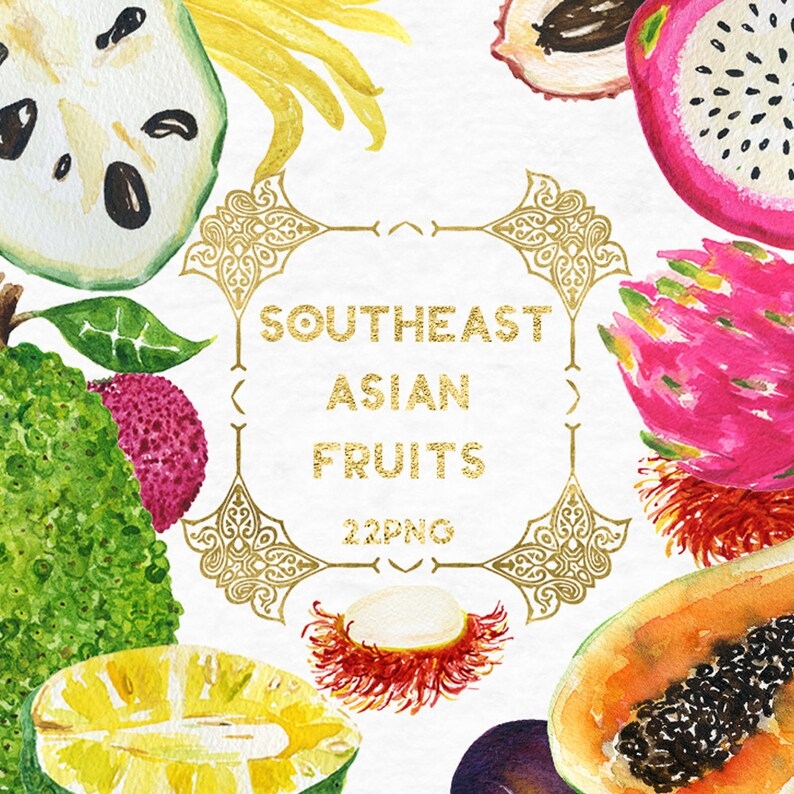 Southeast Asian Tropical Fruits Watercolor Clipart Digital Etsy