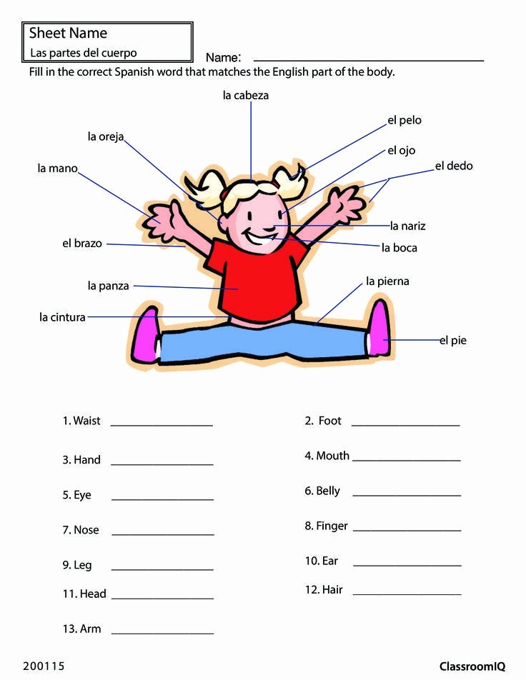 Spanish Body Parts Printable Activity