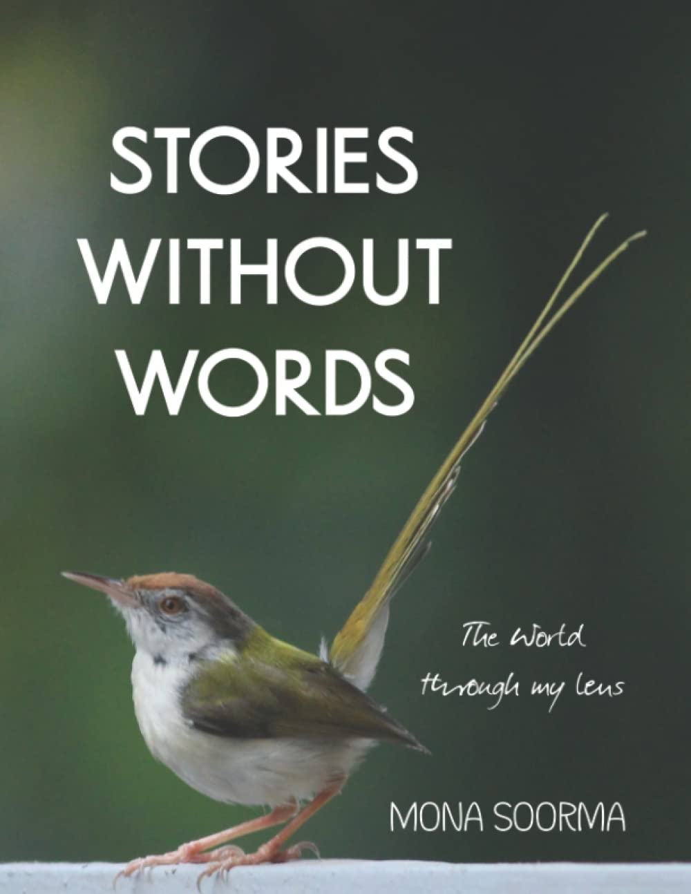 free printable picture stories without words