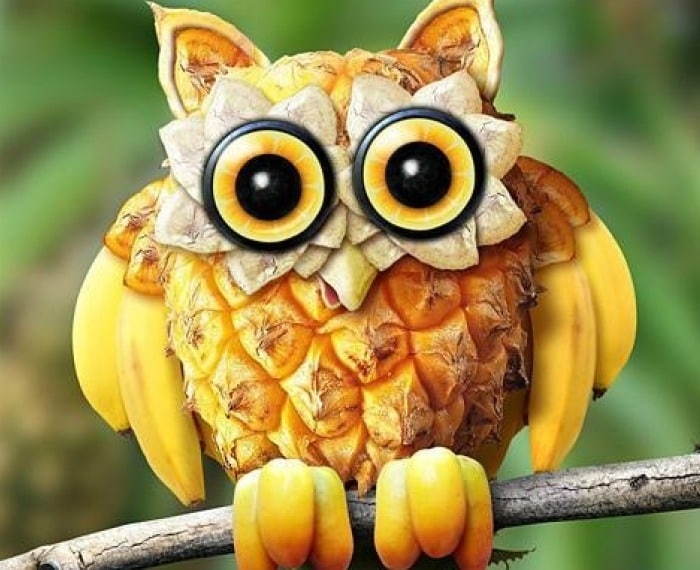 Stunning Fruit Art